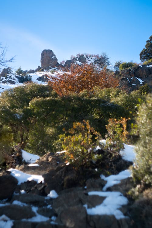 Darmowe zdjęcie z galerii z góra, góry, jesień