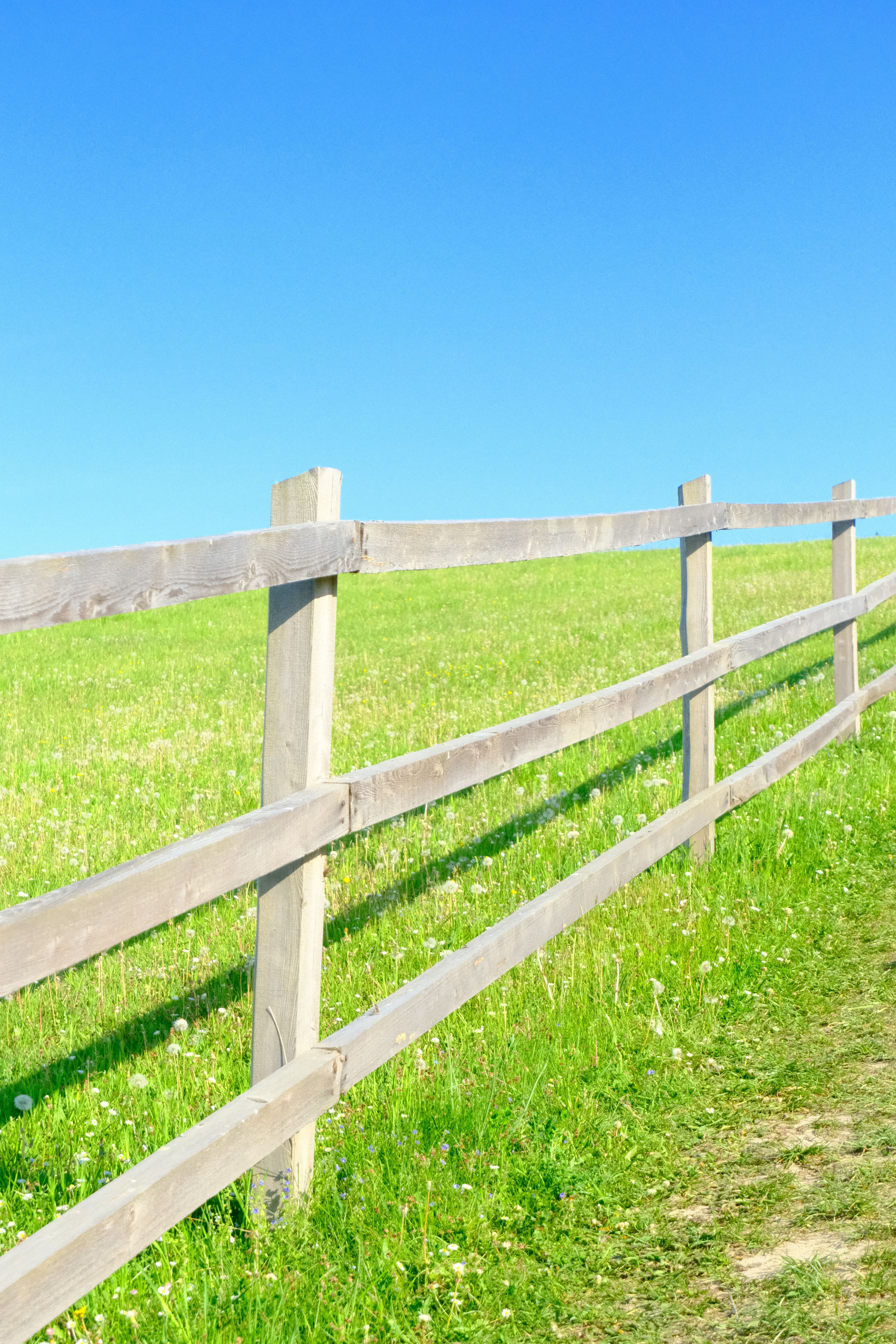 Wooden Fence in Front of Grassland Field · Free Stock Photo