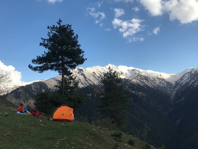 التصنيع الغذائي