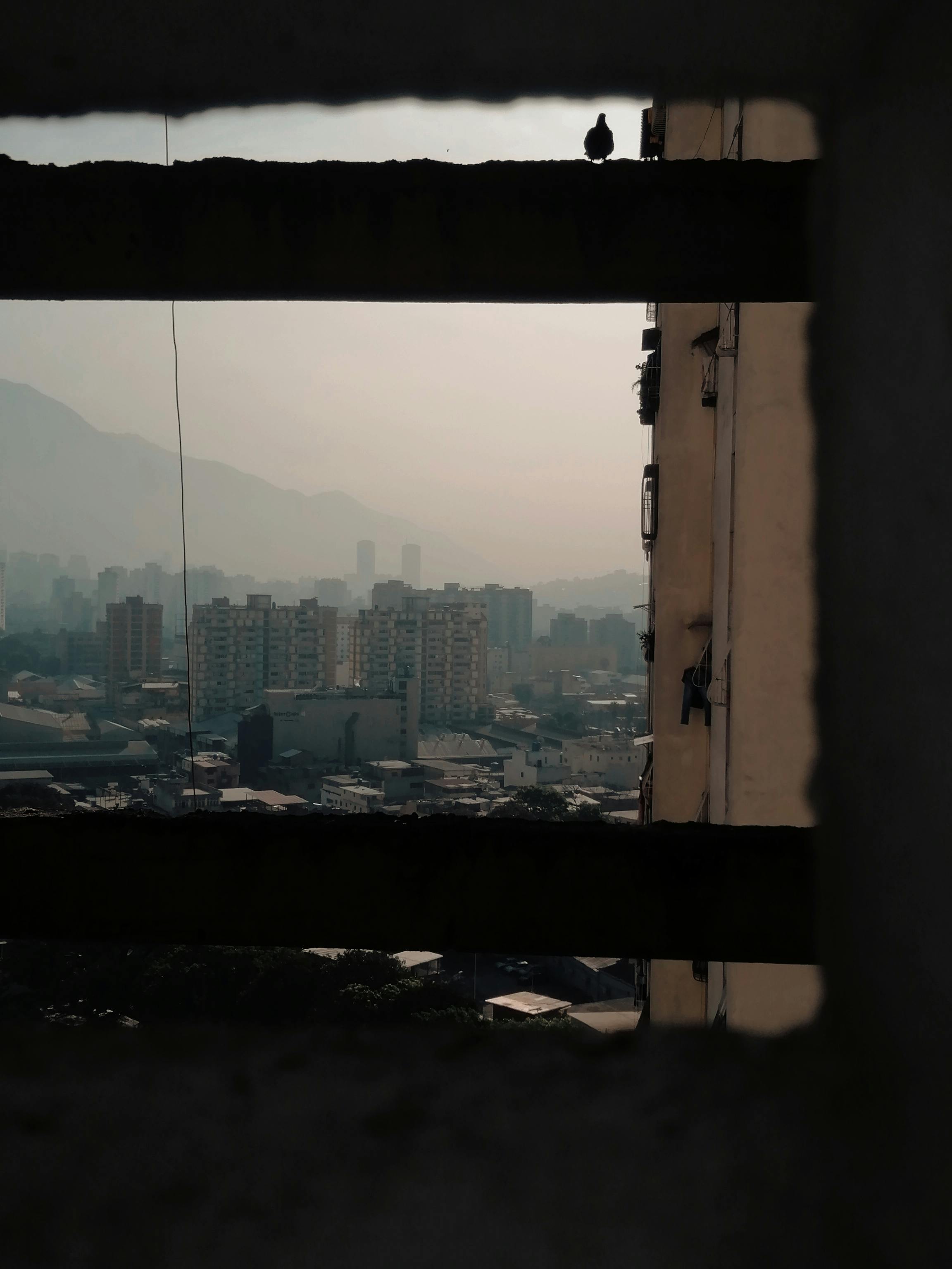 Las Claves de la Resiliencia Operativa en Caracas (Venezuela) con Demanda Volátil