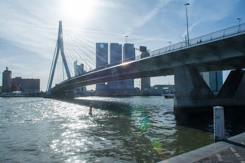 Бесплатное стоковое фото с вода, встречный свет, мост