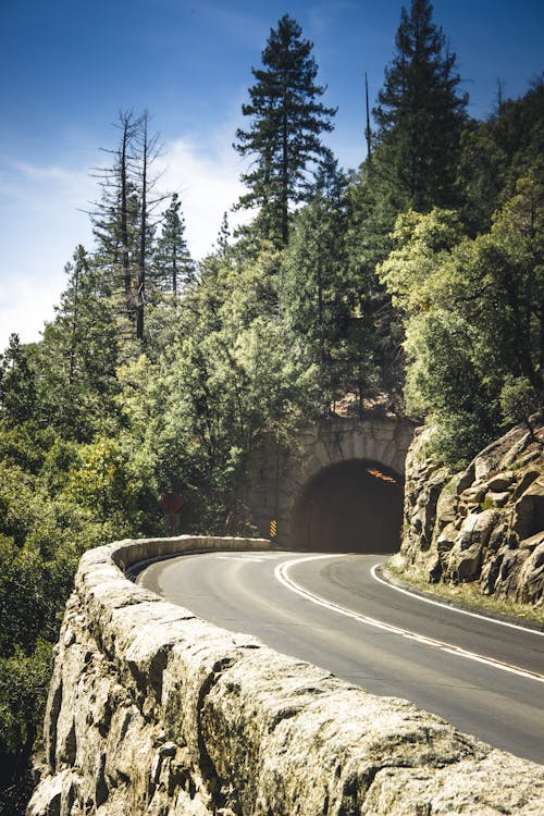 Selective Focus Photo of Curved  Empty Road with a Tunnel