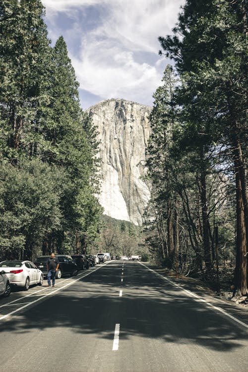 Photo of Asphalt Road Pathway between Tall  Trees with Cars Parked Beside  Near High Mountain 