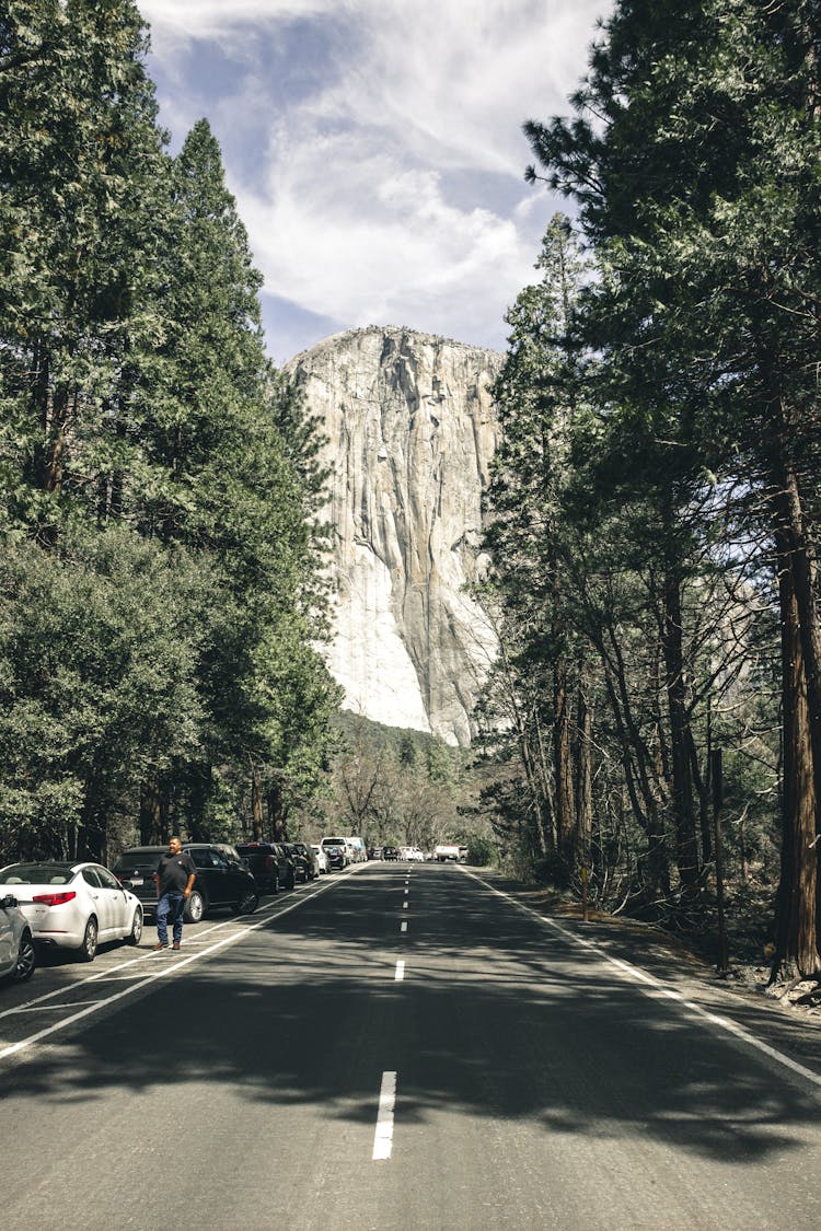 Photo Of Asphalt Road Pathway Between Tall  Trees With Cars Parked Beside  Near High Mountain 