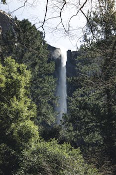 在加利福尼亚州的优胜美地国家公园，雄伟的瀑布从郁郁葱葱的树木间倾泻而下