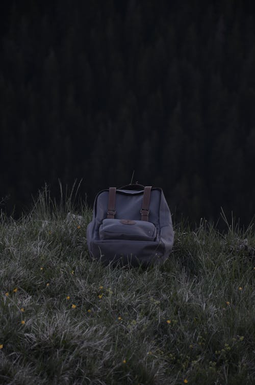 Foto Di Backpack On Grass