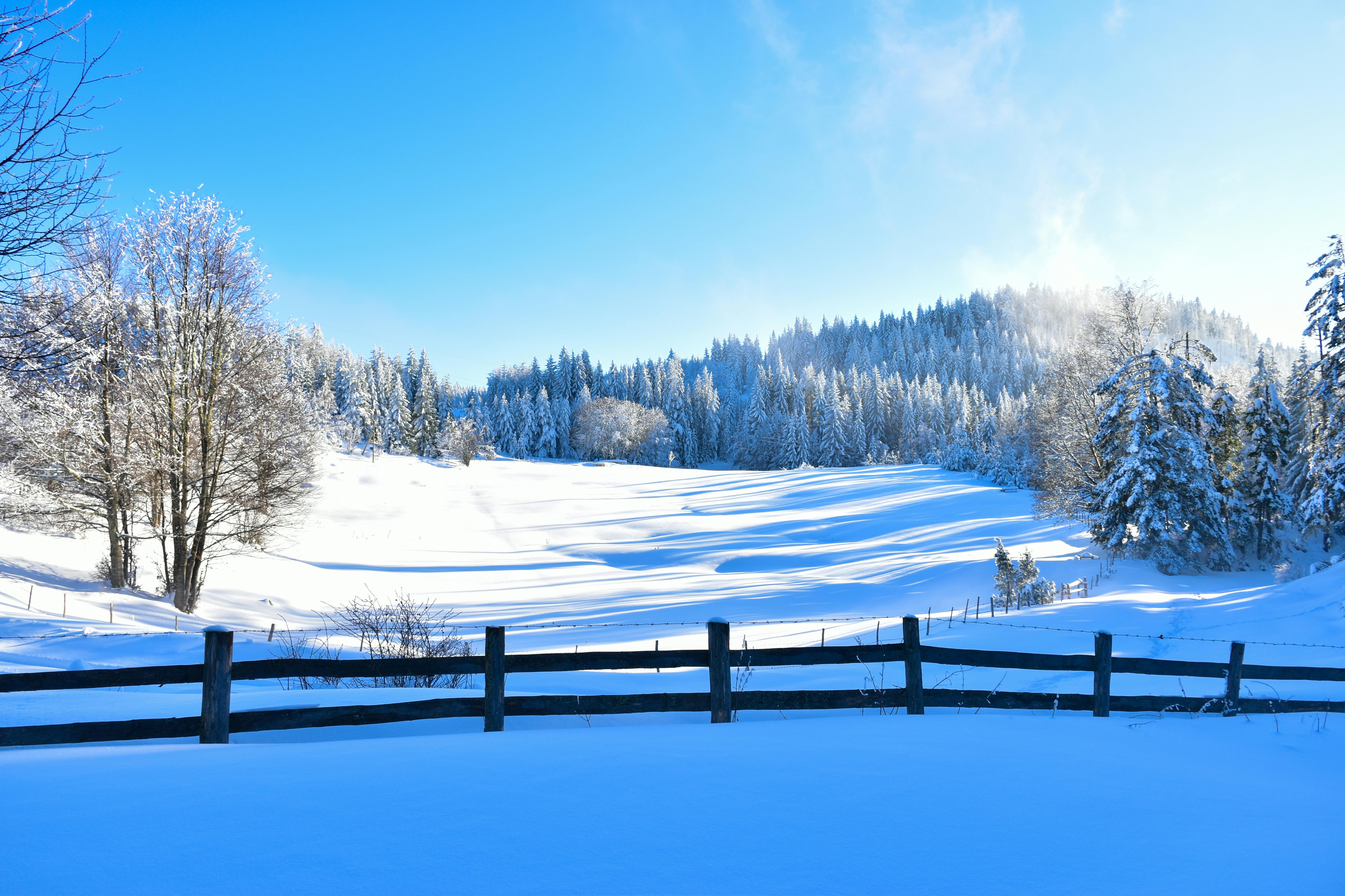 Selling in Winter? Why Late-Year Listings Can Still Pay Off — Photo by Miljan Rašević on Pexels