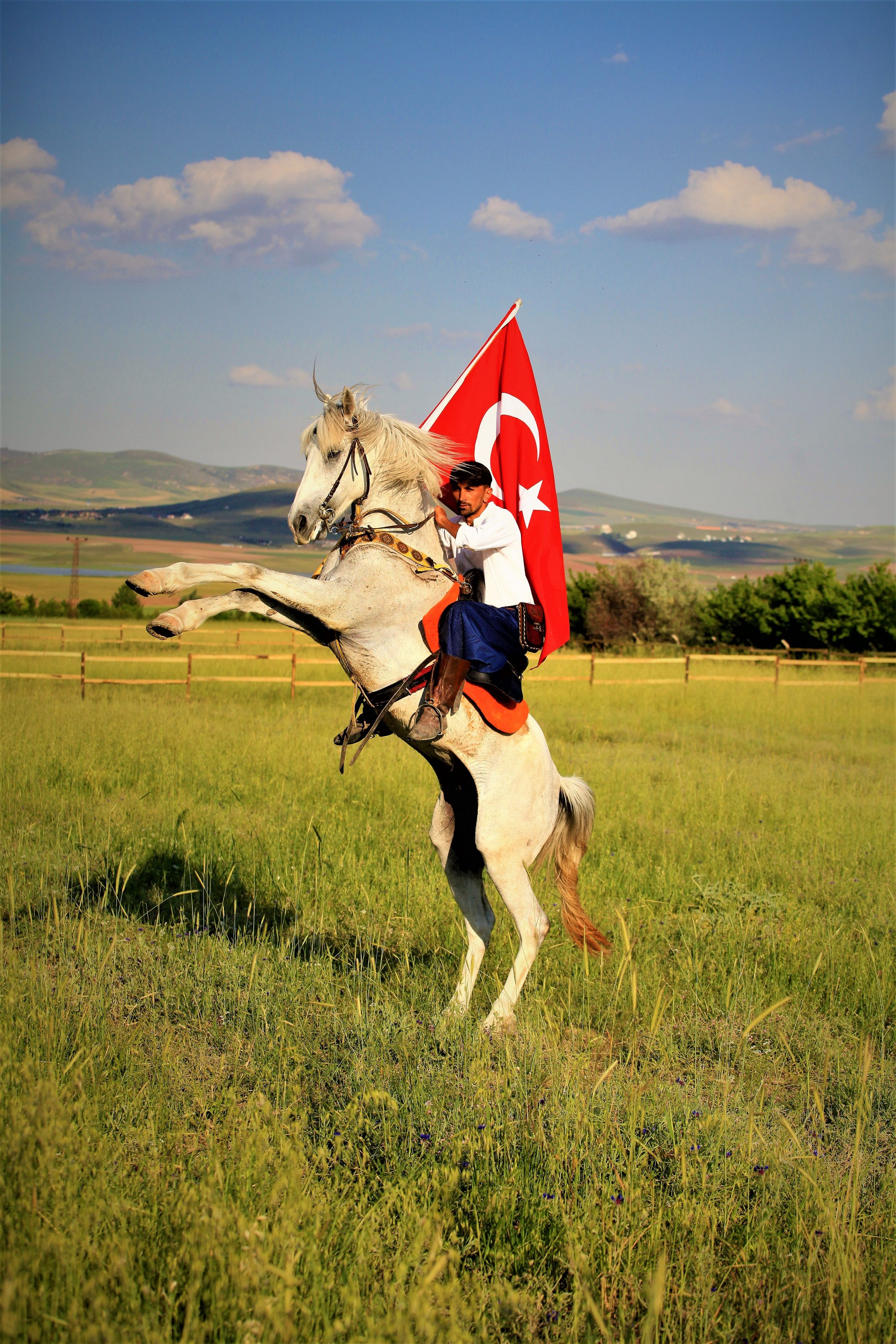 A rider proudly holding the Turkish flag while on a rearing horse in a lush field under a clear blue sky.