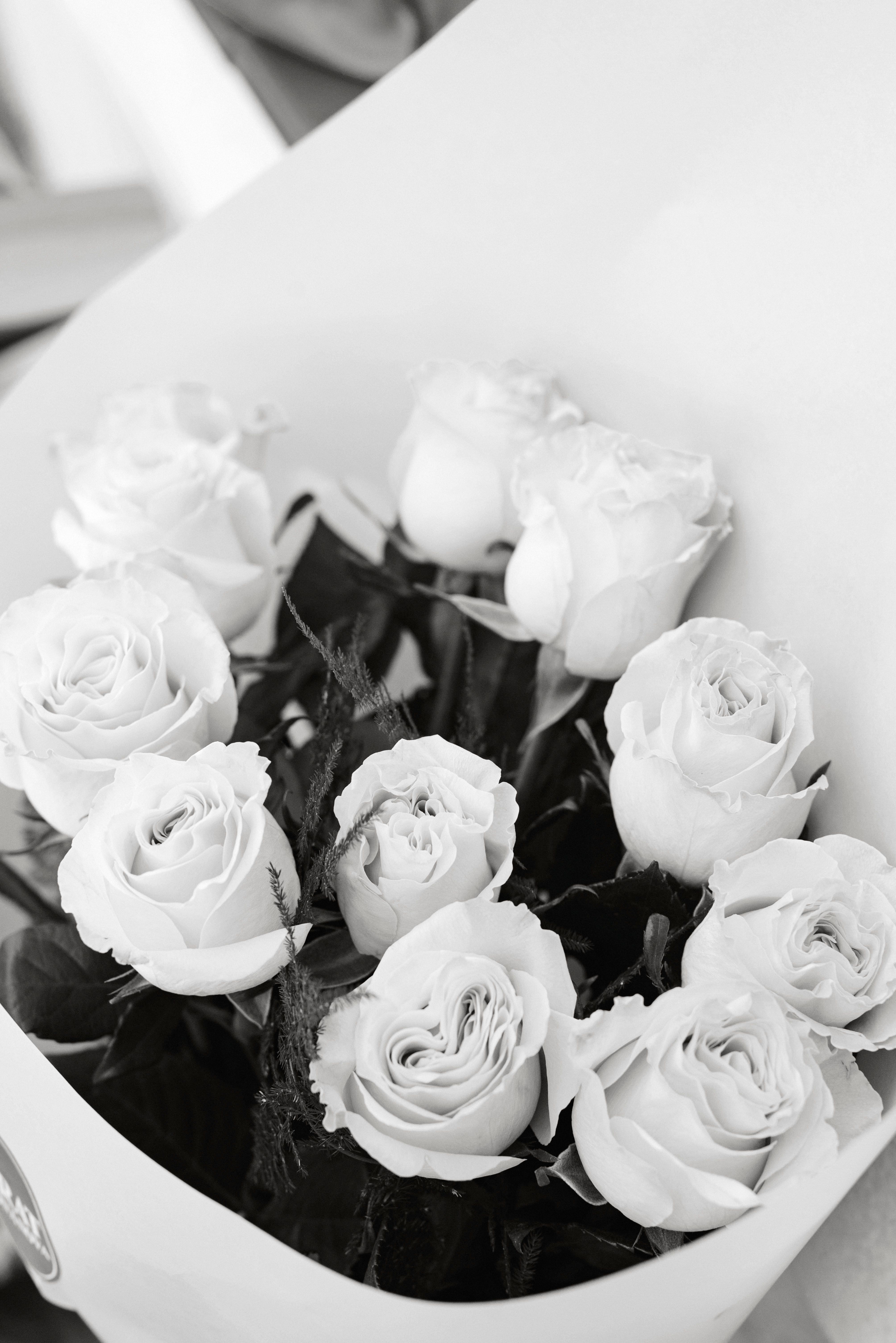 Bouquet of Roses in Black and White · Free Stock Photo