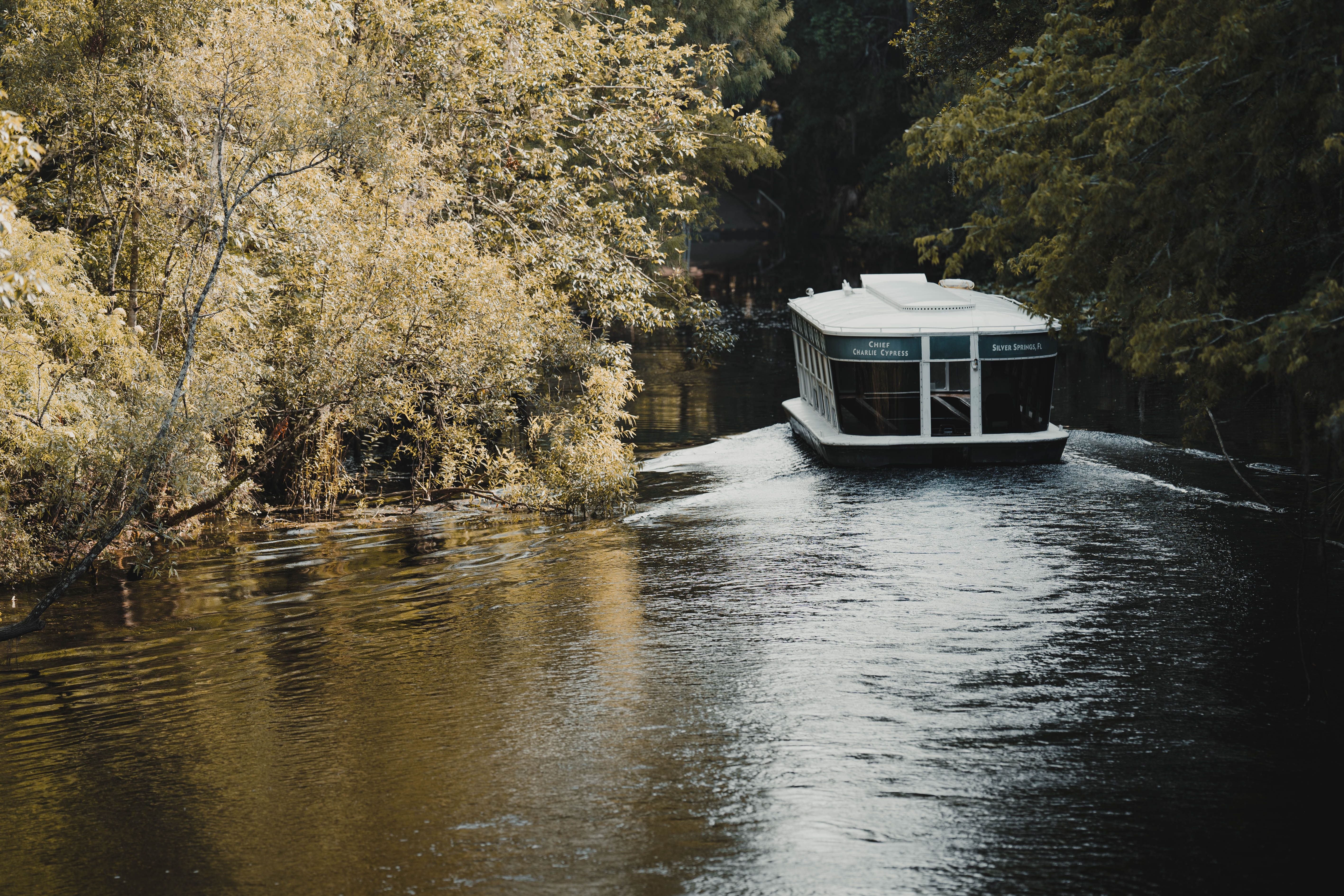 Jacob Evans/Pexels