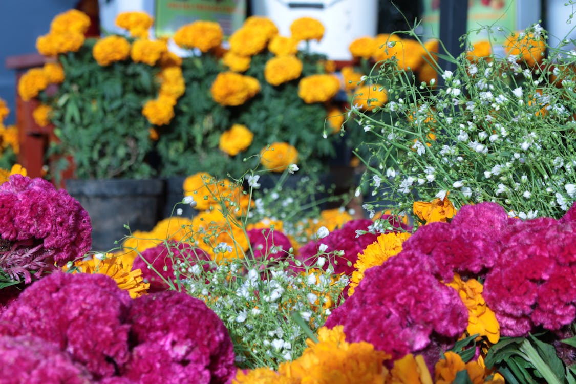 Kostenlos Gelbe Und Rosa Blumenanordnung Stock-Foto