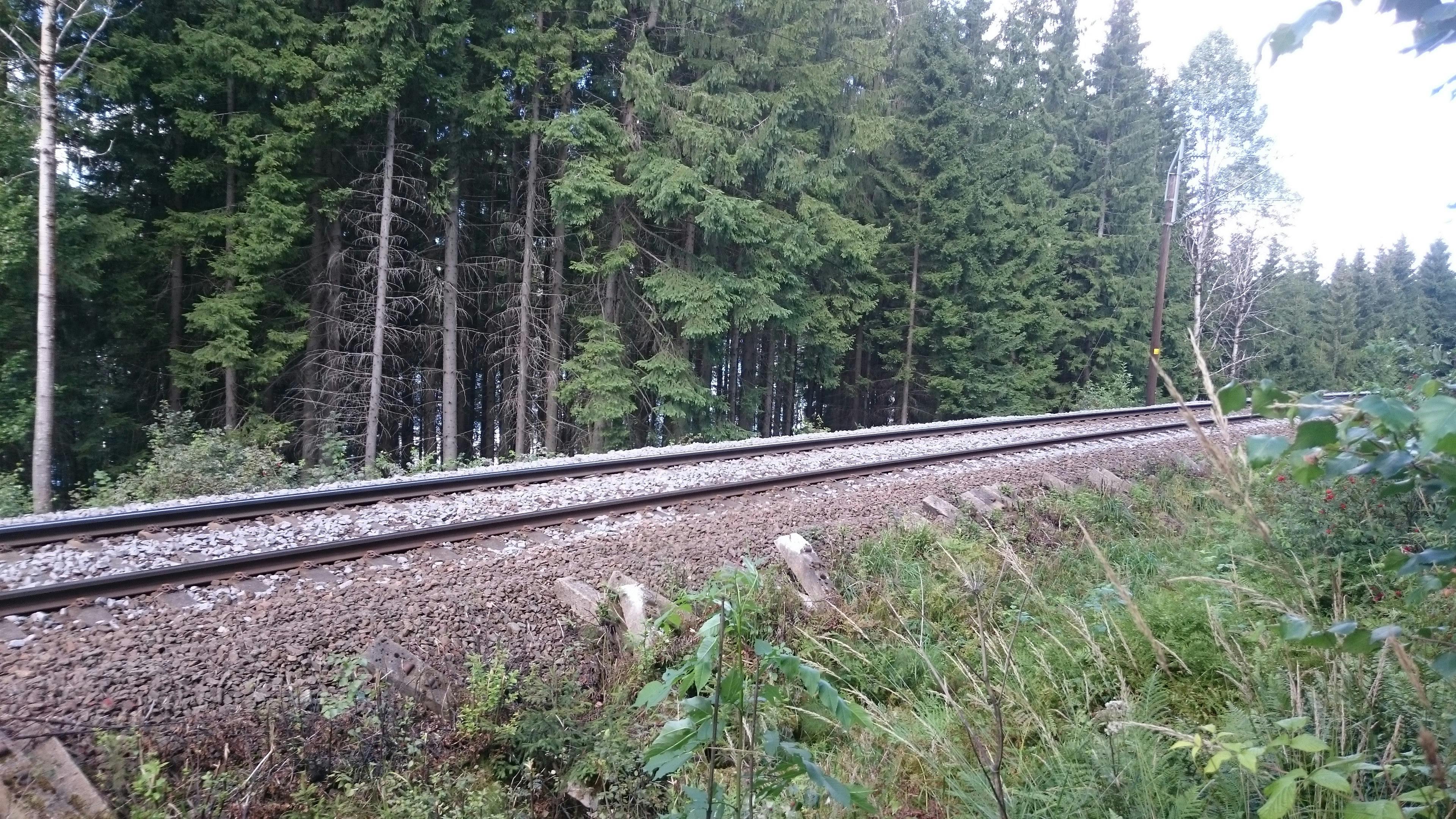 Free Stock Photo Of Forest Railway Track Railway Track In