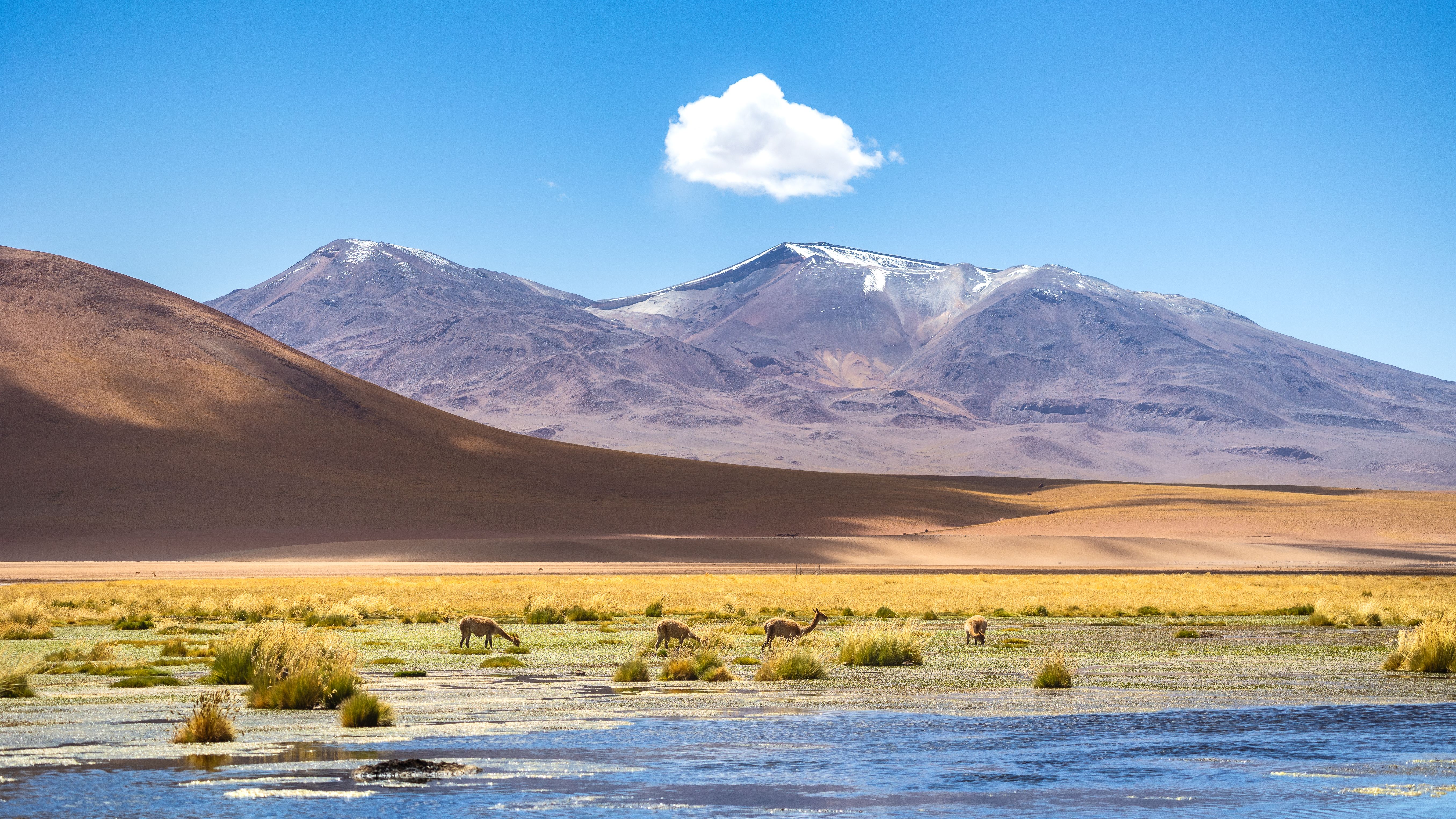 5.176+ Fotos y Imágenes de Altiplano Gratis · Banco de Fotos Gratis
