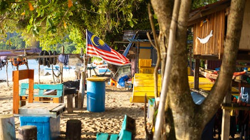 Fotos de stock gratuitas de agua, al aire libre, árbol