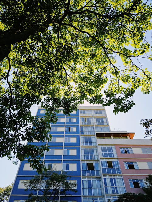 A tall building with trees in front of it