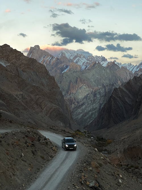 Бесплатное стоковое фото с zanskar, большая высота, в дикой природе