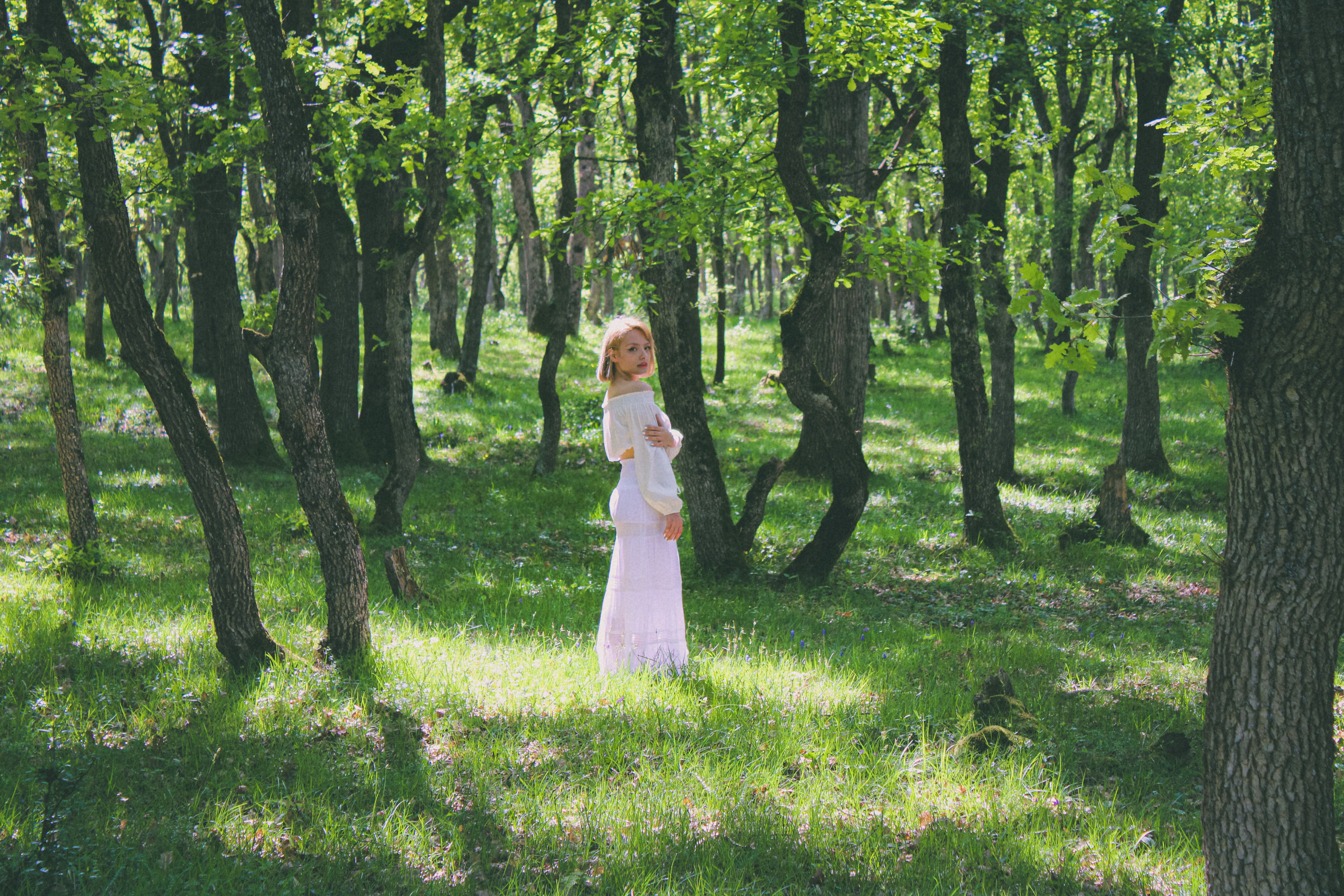 A woman in a pink dress is standing in the woods · Free Stock Photo