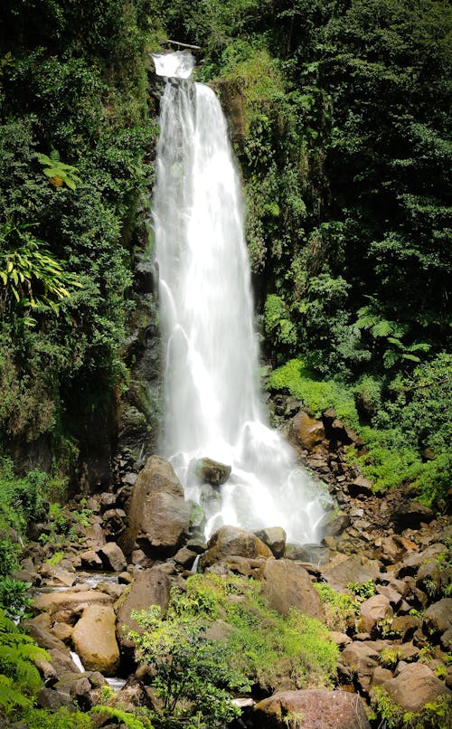 Trafalgar waterfall 