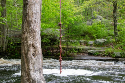Rope Swing Along Wood River