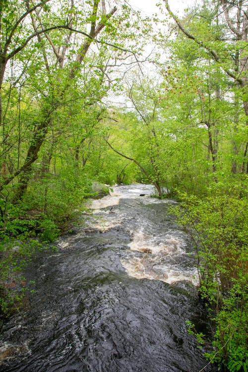 View of National Wild and Scenic Wood River