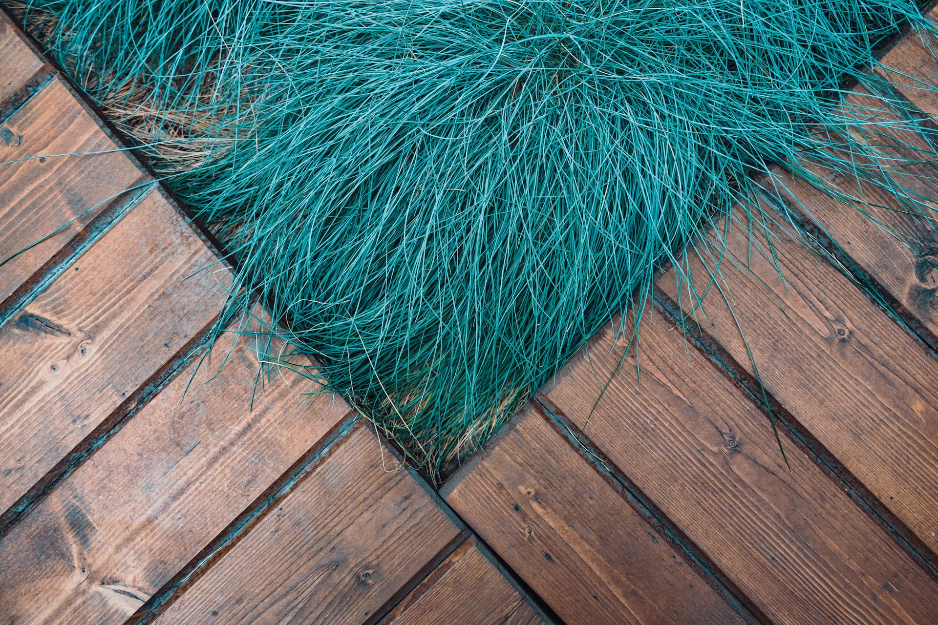 Colorful blue grass contrasting a rustic wooden deck in a diagonal composition.