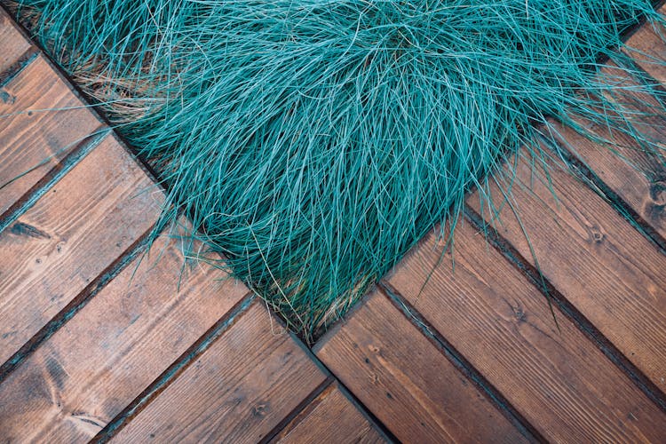 Green Grass On Brown Wooden Floor