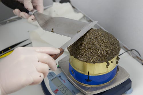 Person Weighing Caviar on Tin Can
