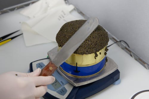 Person Holding Spatula and Weighing Caviar on Tin Can