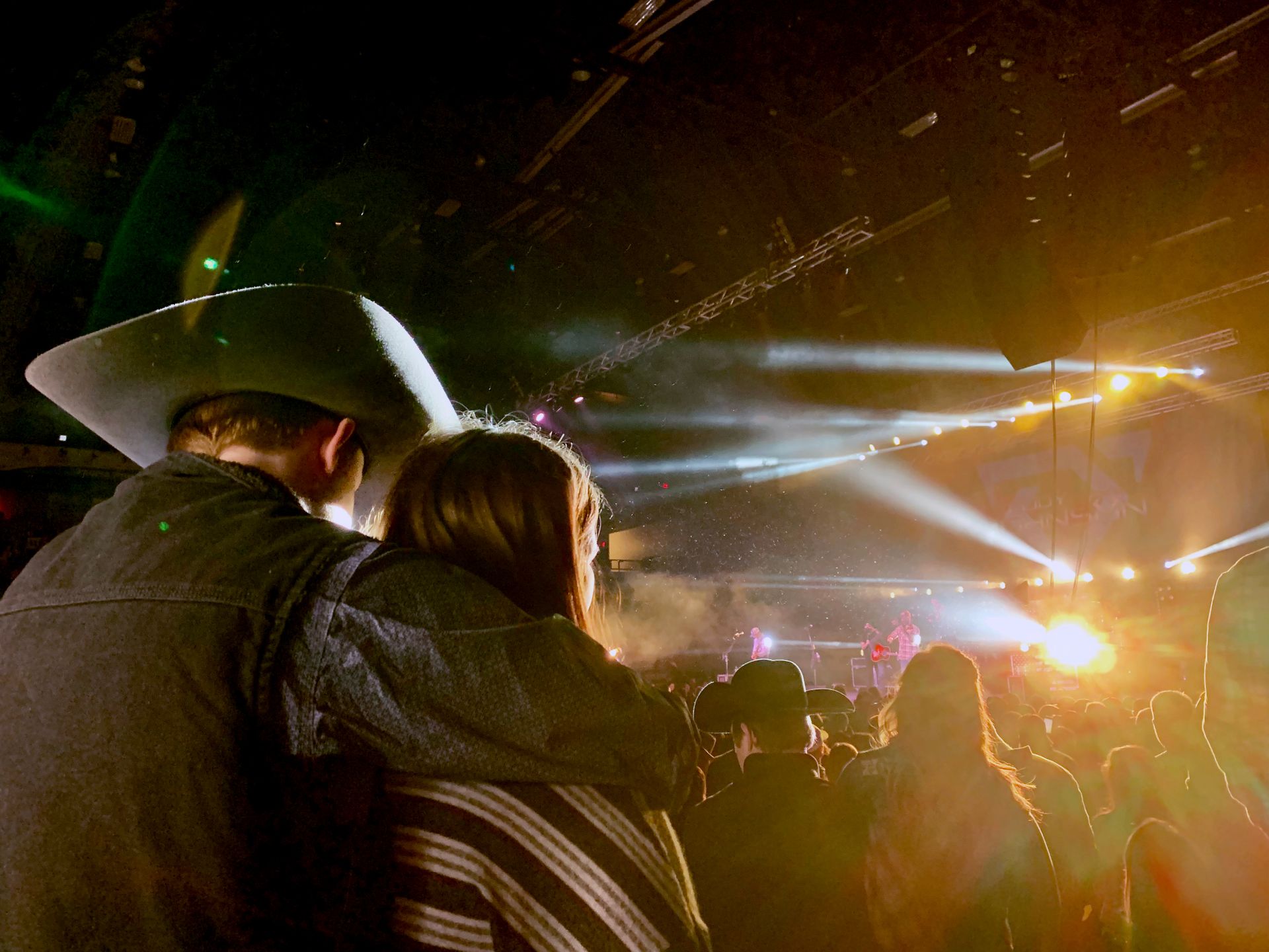 Free stock photo of band, concert, concert audience