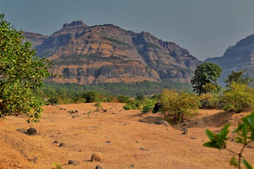 Mountains at the background