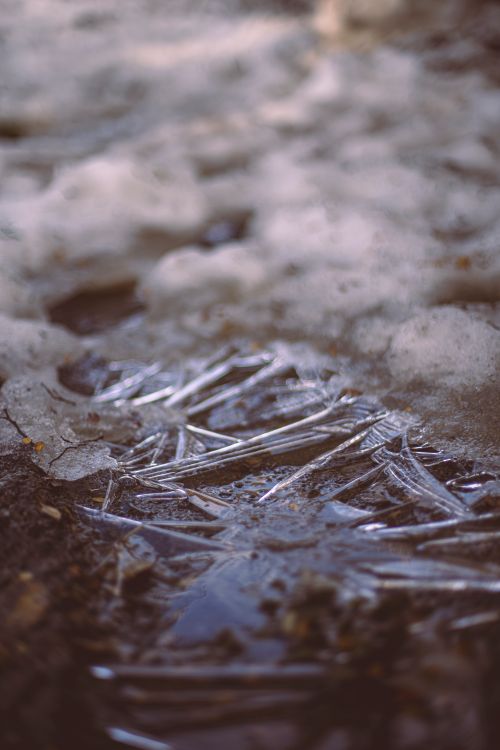 Free Close-up of intricate ice formations in Bariloche, capturing winter's beauty. Stock Photo