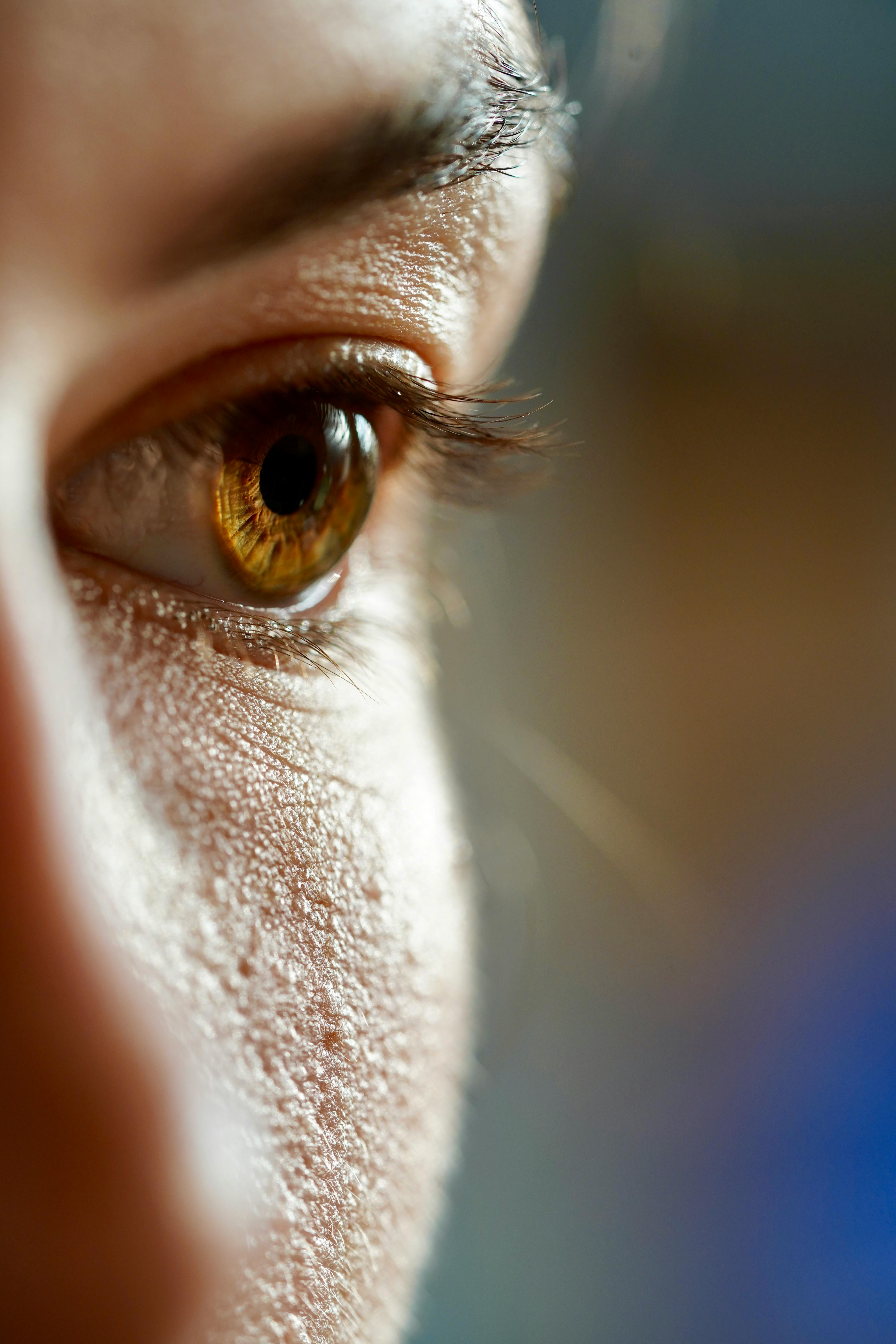 Photo Of Brown Eye · Free Stock Photo