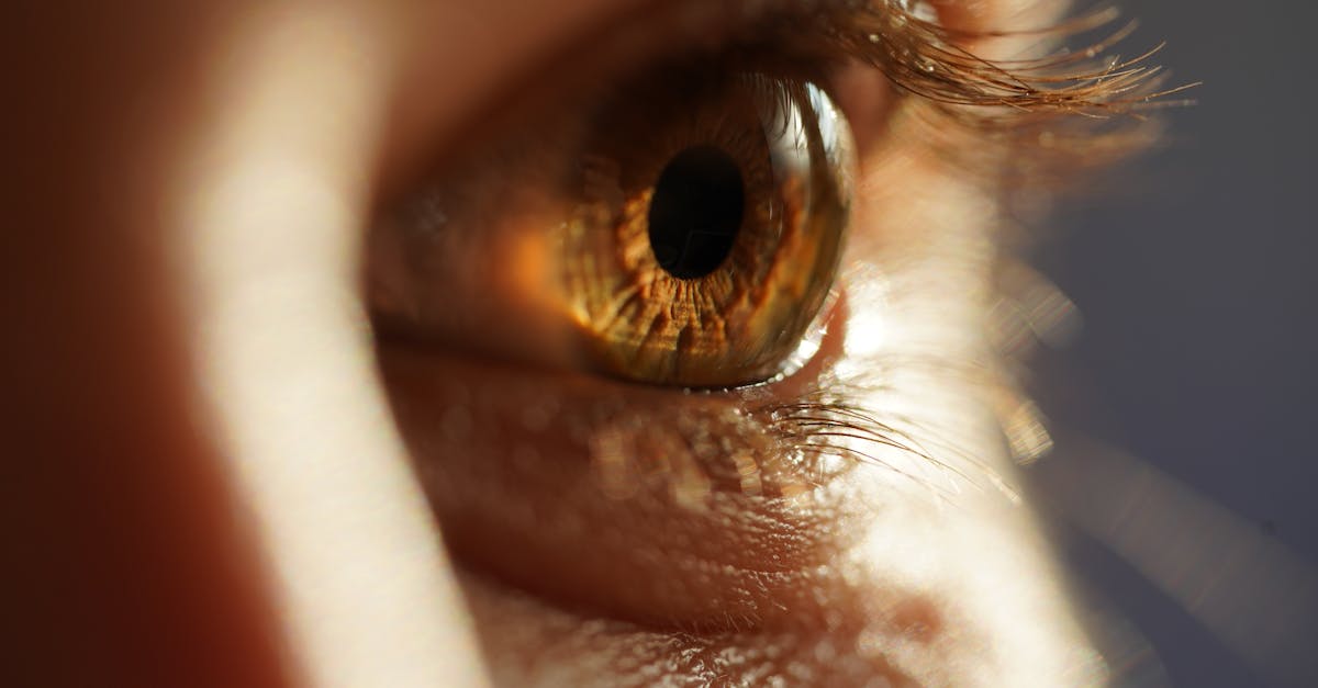 Digital Eye Strain: The Unseen Consequence of Screen Time