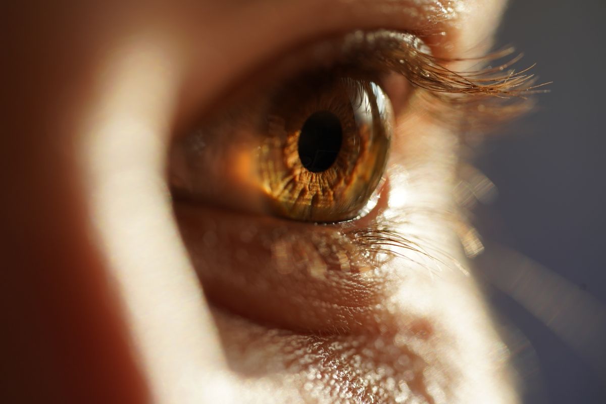 Close-up macro photograph of a human eye, used to illustrate whether an engine can see your pages
