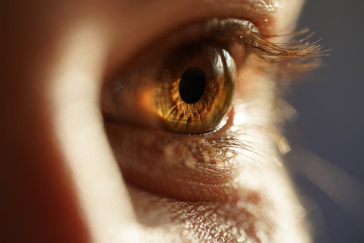 Selective Focus Photo Of Woman's Eye