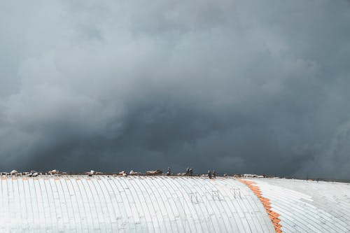 Werknemers Op Het Dak Van Een Gebouw