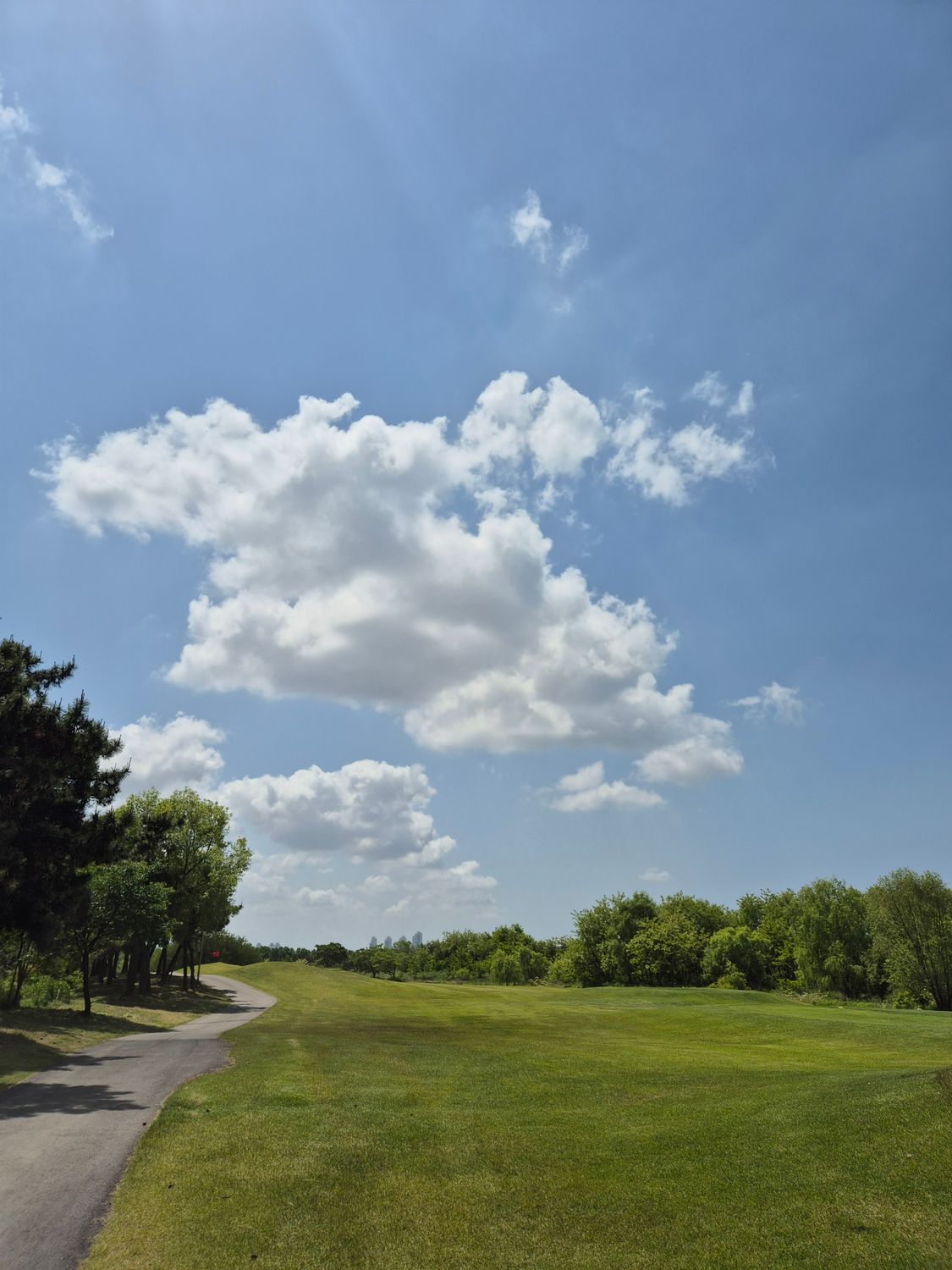 View of a Green Field and Trees under a Blue Sky · Free Stock Photo