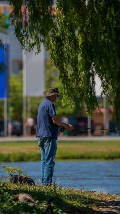 A man is fishing in the water near a tree