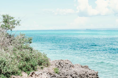 Foto profissional grátis de costa do penhasco, fundo de praia, mar