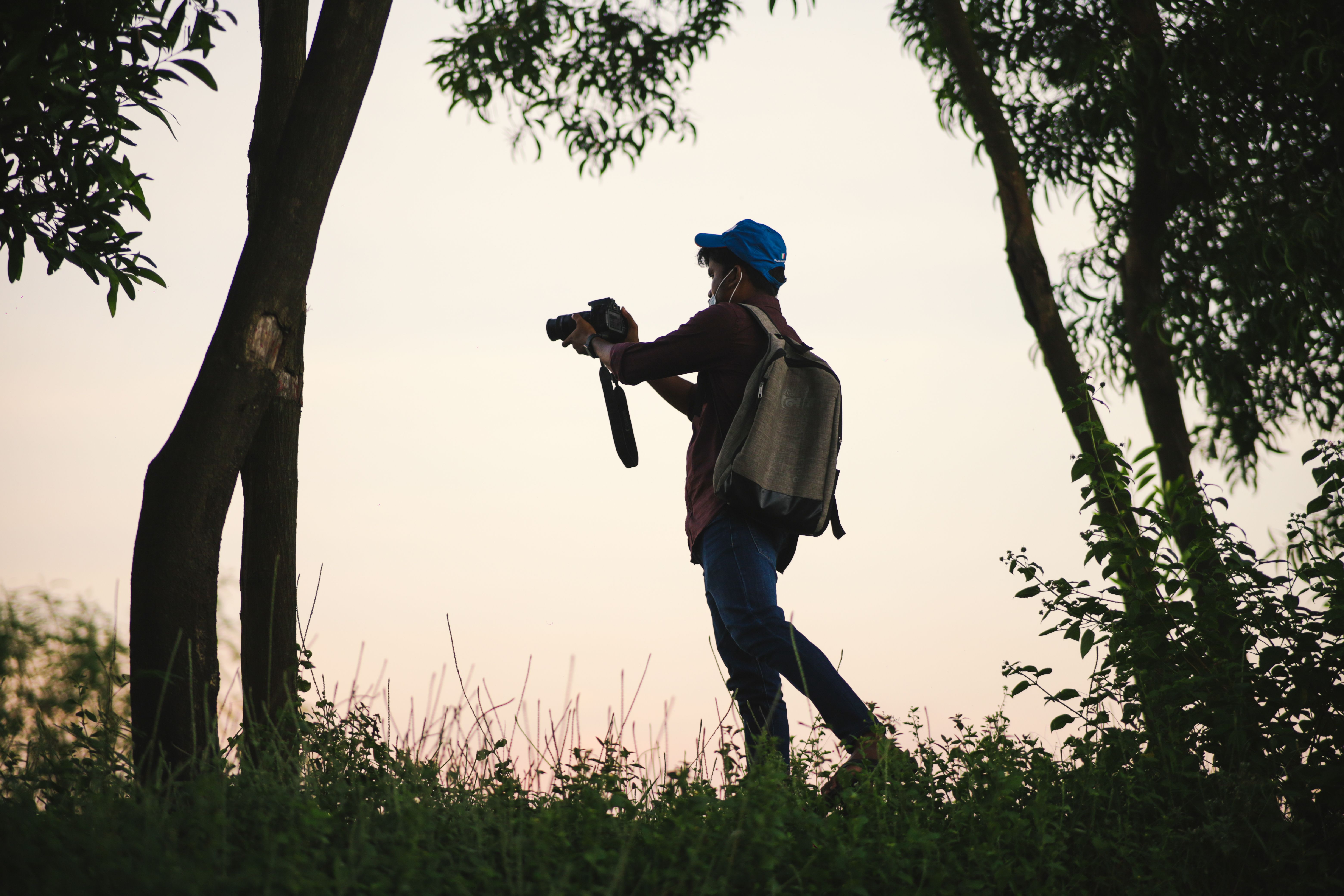 Fotógrafo usando câmera bridge superzoom para fotografar fauna em ambiente externo com luz dourada