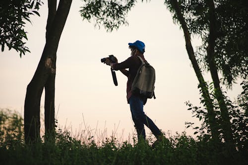 Foto stok gratis anak, backlit, bayangan hitam