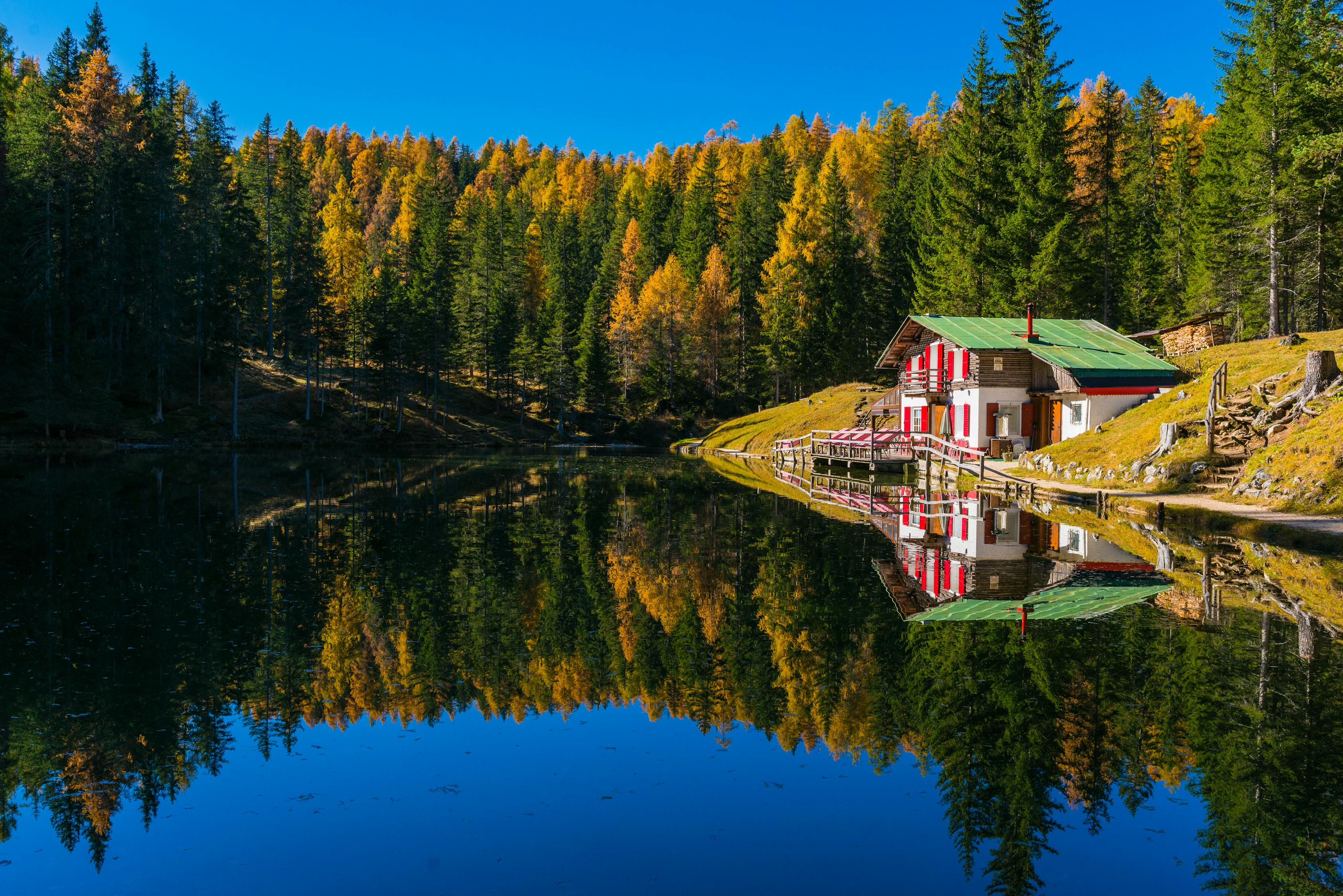 House Beside Lake Surrounded By Trees Free Stock Photo house-beside-lake-surrounded-by-trees-free-stock-photo