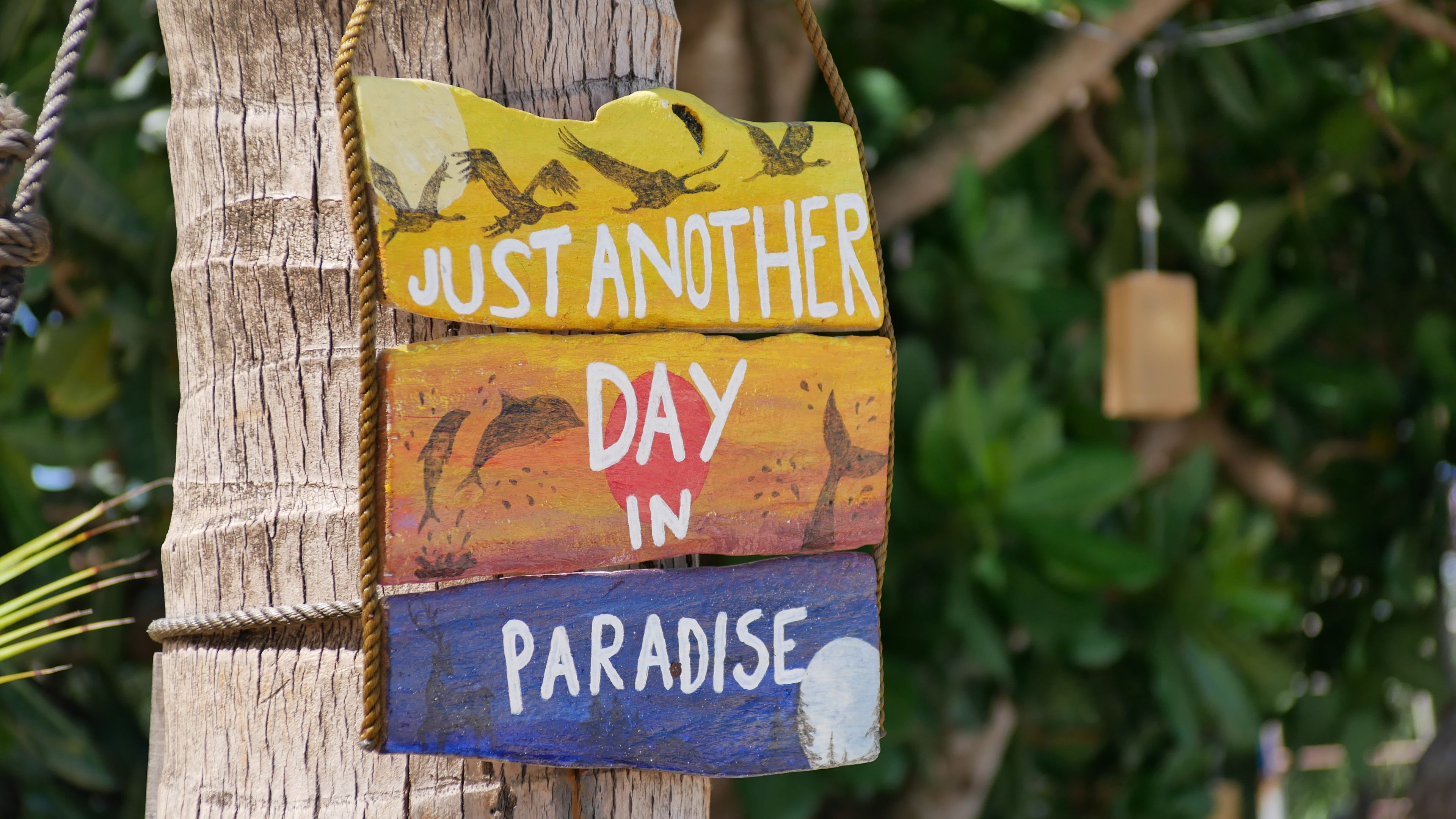 Where To Stay in Mustique on a Budget — Mustique travel guide photo