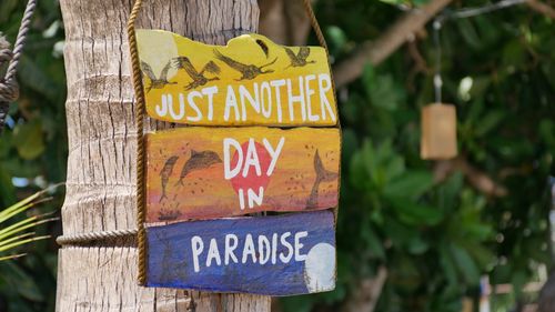 Free A vibrant wooden sign reading 'Just Another Day in Paradise' hanging on a palm tree. Stock Photo