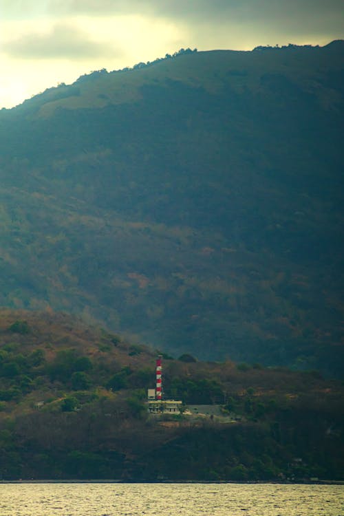 가벼운, 강, 경치의 무료 스톡 사진