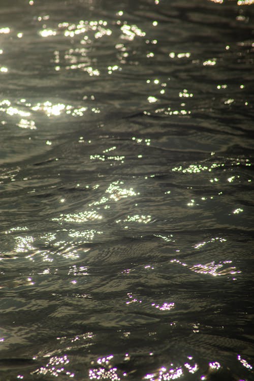 H2O, 가벼운, 강의 무료 스톡 사진