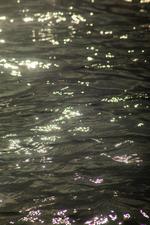Lens Rippled Surface Close-up of a Rippled Water Surface Reflecting Sunlight · Free Stock Photo