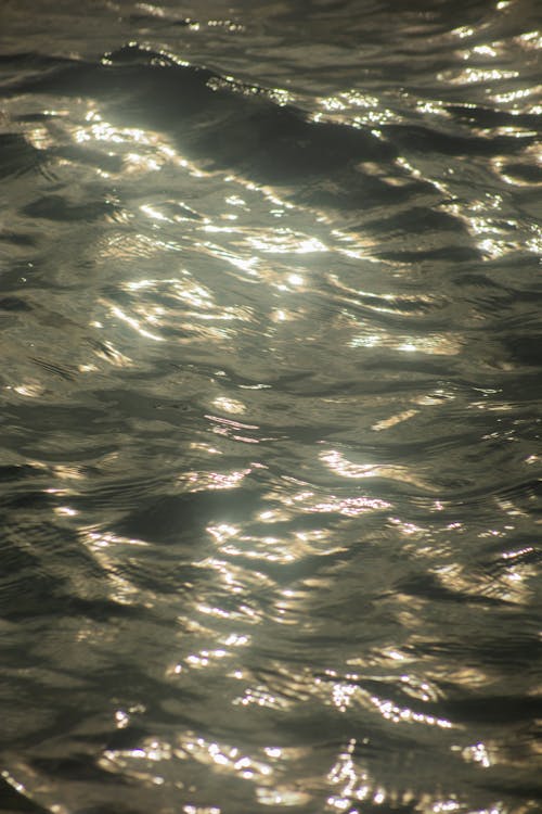 H2O, 가벼운, 강의 무료 스톡 사진