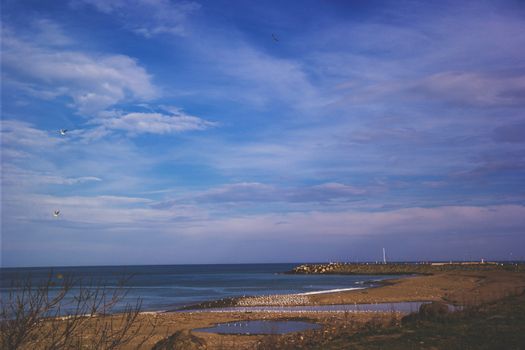沿海风光美丽，蓝天广阔，海浪翻涌，海鸟飞过海岸