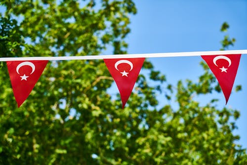 土耳其國旗的照片